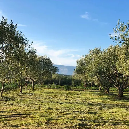 Rugonj Stari Grad (Hvar)